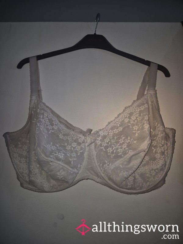 40HH WELL ABUSED OLD FAITHFUL EVERYDAY BRA