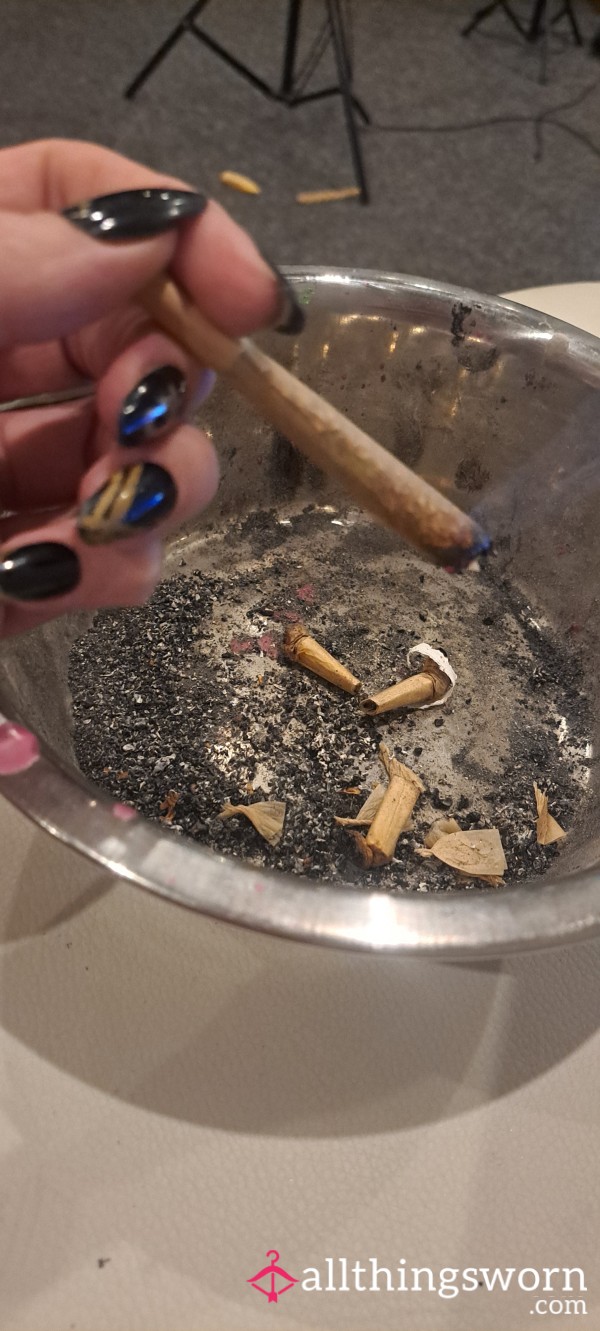420 Ashtray Contents - My Human Ashtray Will Love This!!
