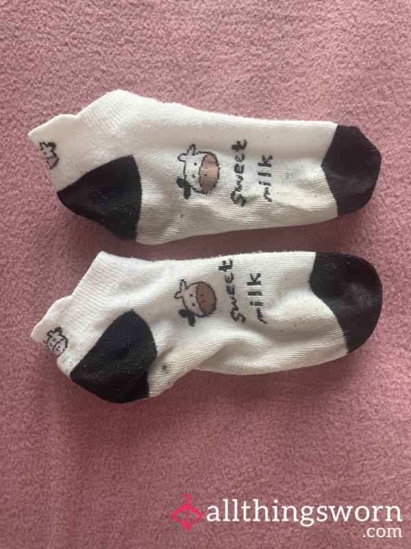 48 Hour Wear ‘Sweet Milk’ Cow Trainer Socks