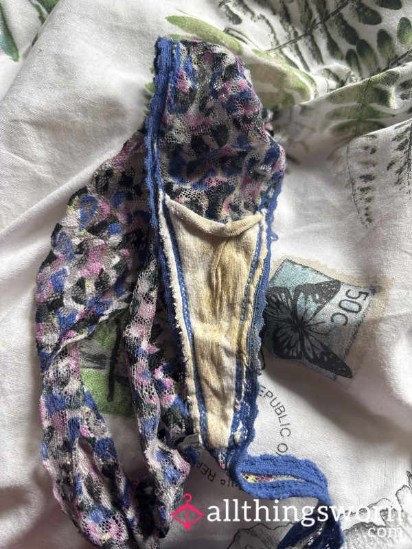 48 Hour Worn Multicolour Thong
