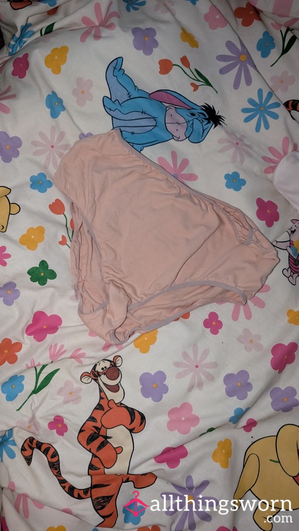 48 Hour Worn Panties