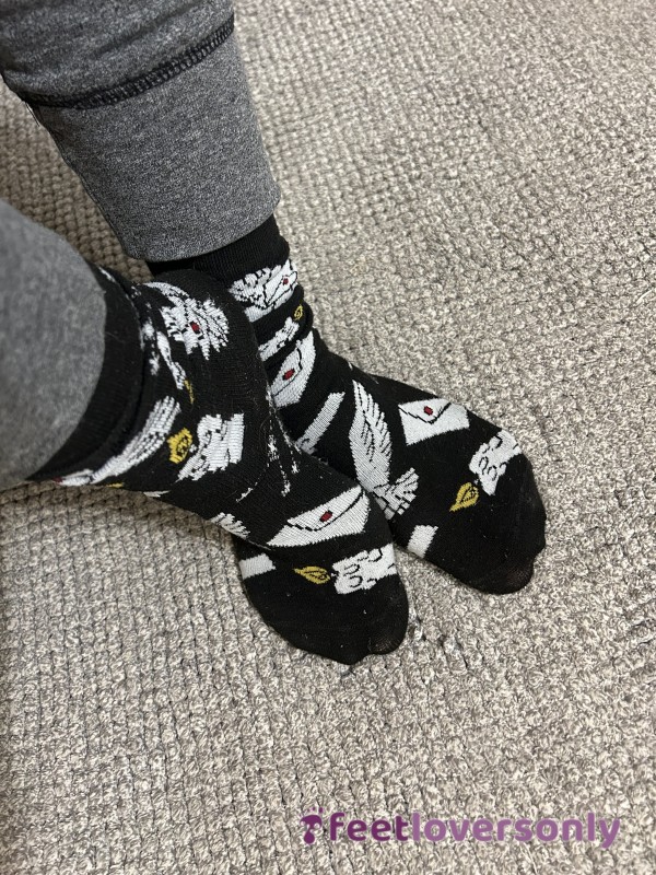 48 Hr Wear! Harry Potter Tall Dirty Socks