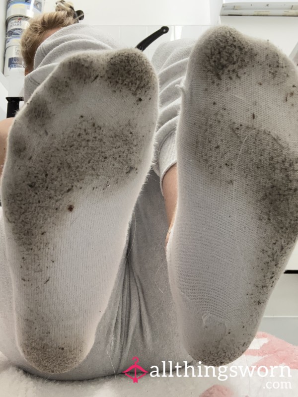 48hr Wear Cheesy Socks