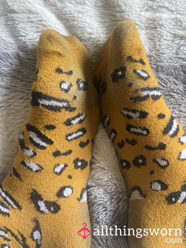 48hr Worn Sweaty Socks
