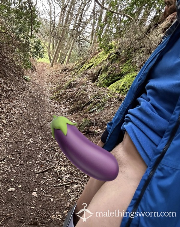 £5 - 10 Outdoor & Indoor Rock Hard Thick 8 Inch C*ck Pics 🌲😜😈🍆📸