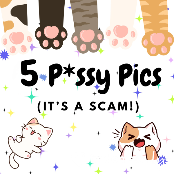 5 P*ssy Pics (It’s A Scam!)