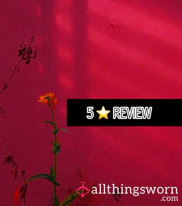 5 ⭐️ Review