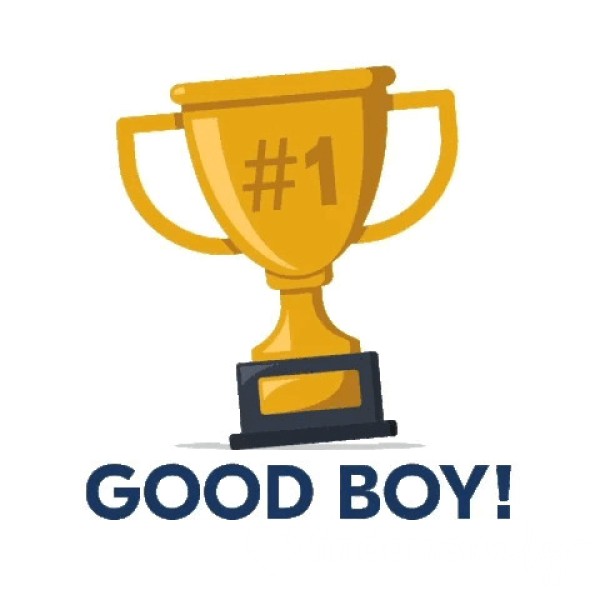 5 Star Review. Have My "Good Boy" At Your Profile🧎