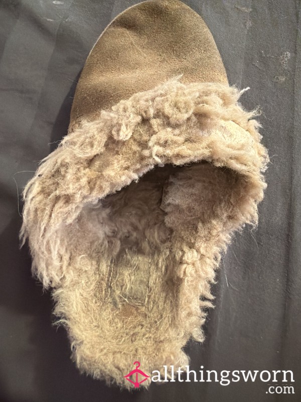 5 Year Worn Ugg Slipper (1) – Extremely Used, Ruined & One Of A Kind 😌
