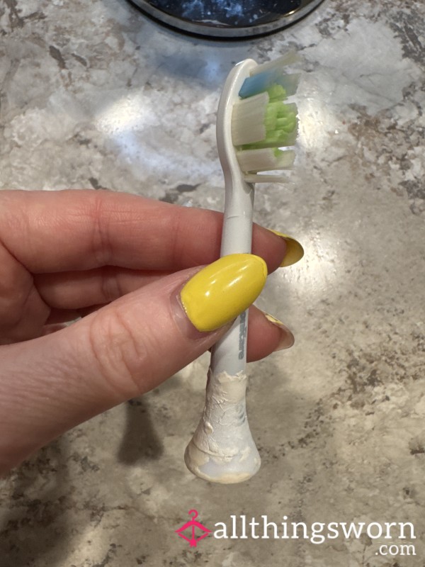 6 Month Used Toothbrush Head