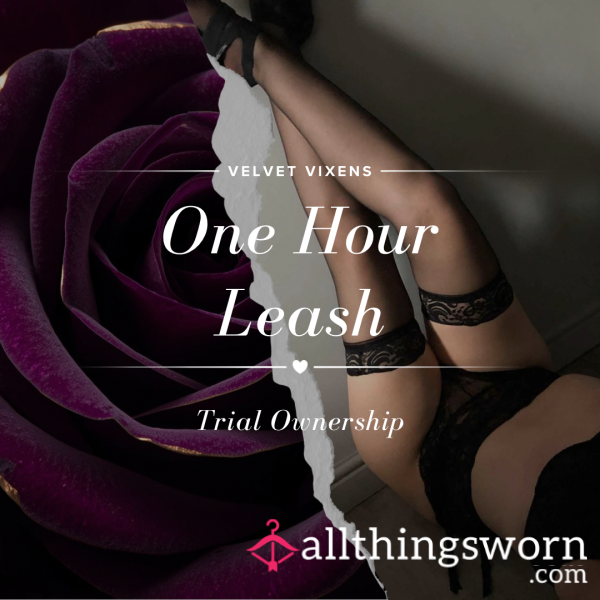One Hour Leash ⋆ Trial Ownership