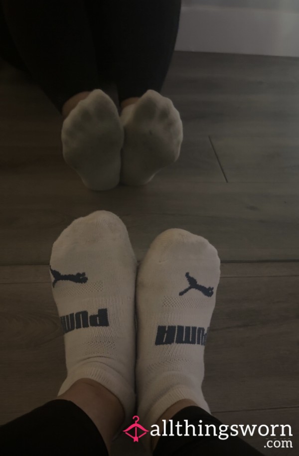 7 Day Festival Socks