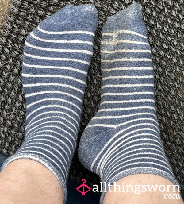 7 Day Worn Blue And White Striped Cotton Crew Socks