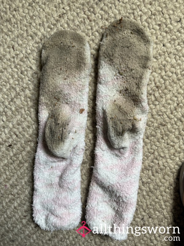 7 Day Worn Stinky Socks