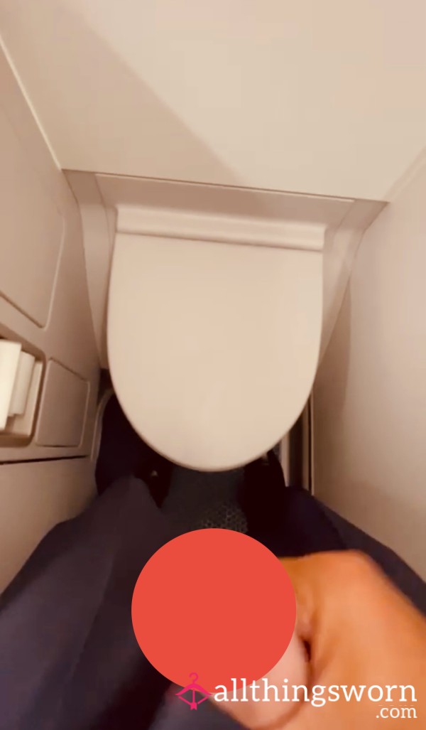 My Alpha Male Cabin Crew Jerks Off In An Airplane Toilet