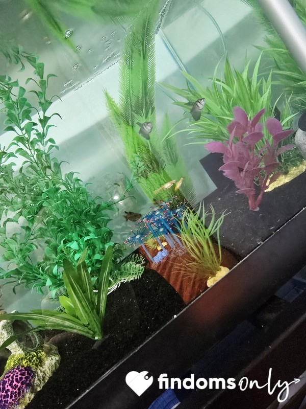 A Fish Named After You?