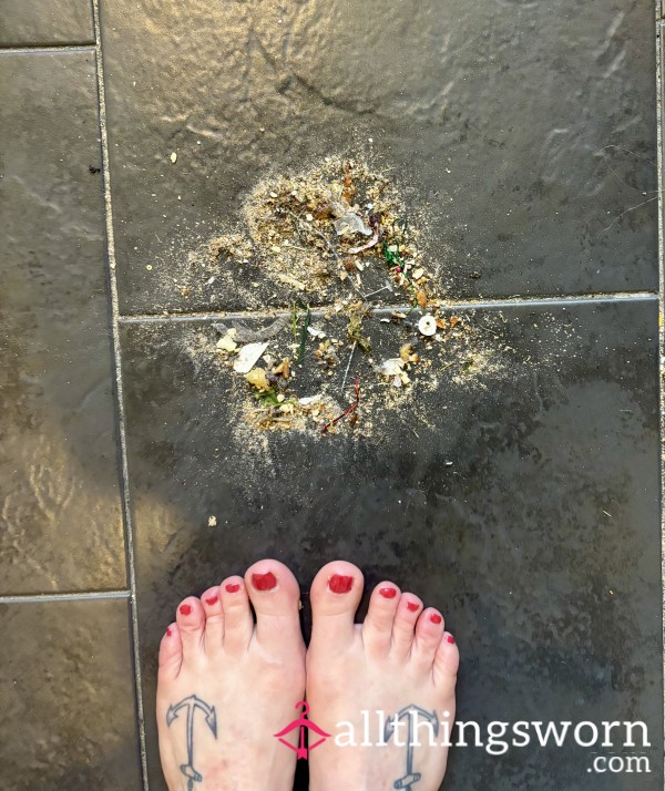 A Little Piece Of My World — Floor Sweepings, Straight From Home 🖤🧹