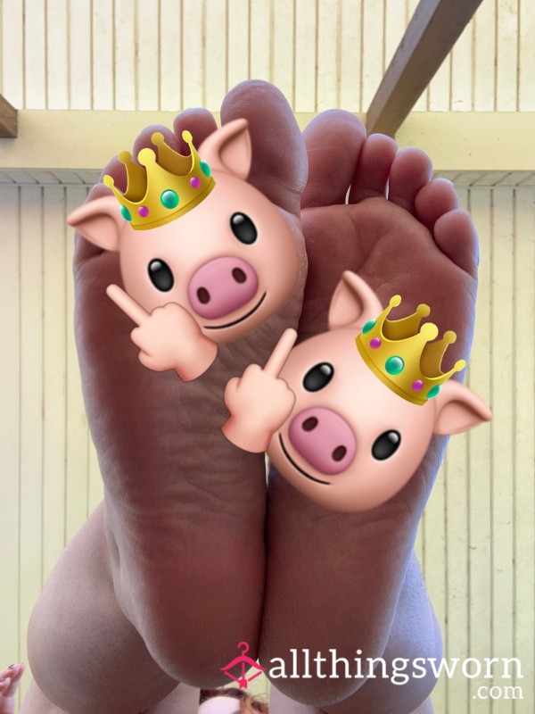 A Quick Look At My Piggies