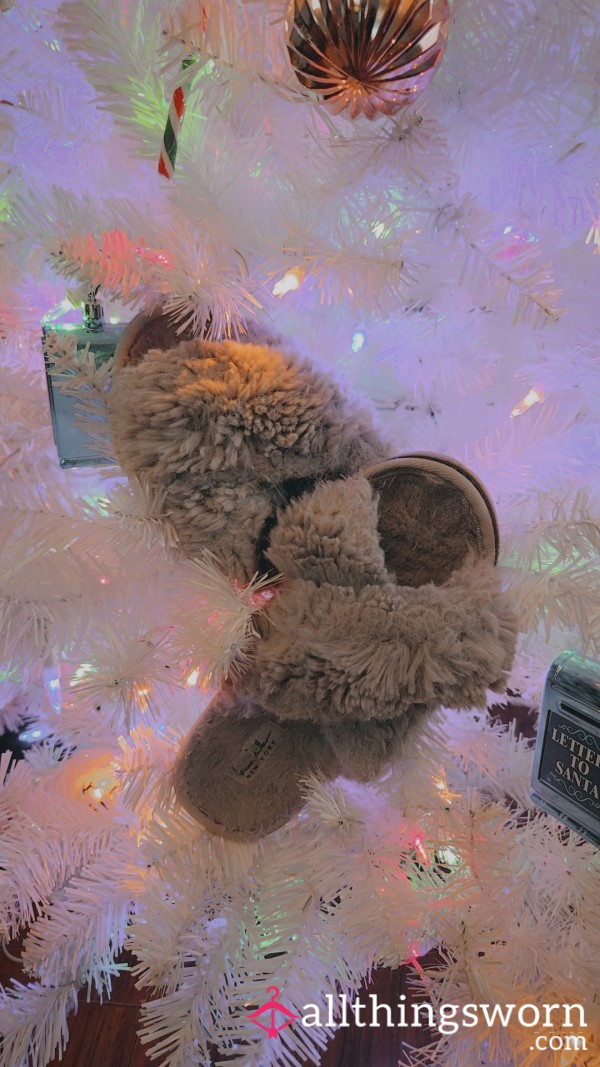 A Slipper Sniffmas - Over A Year Of Wear And Stink