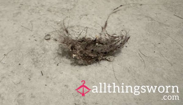 A Sp**nful Of My Floor Dirt 🤣