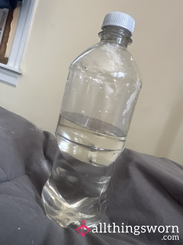 A Water Bottle In My Kitty