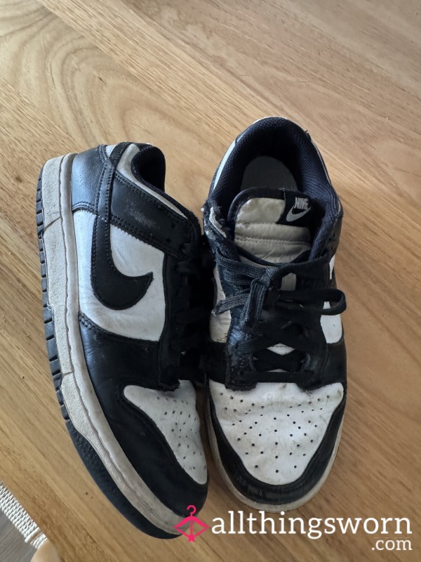 Absolute Filthy Nike Dunks