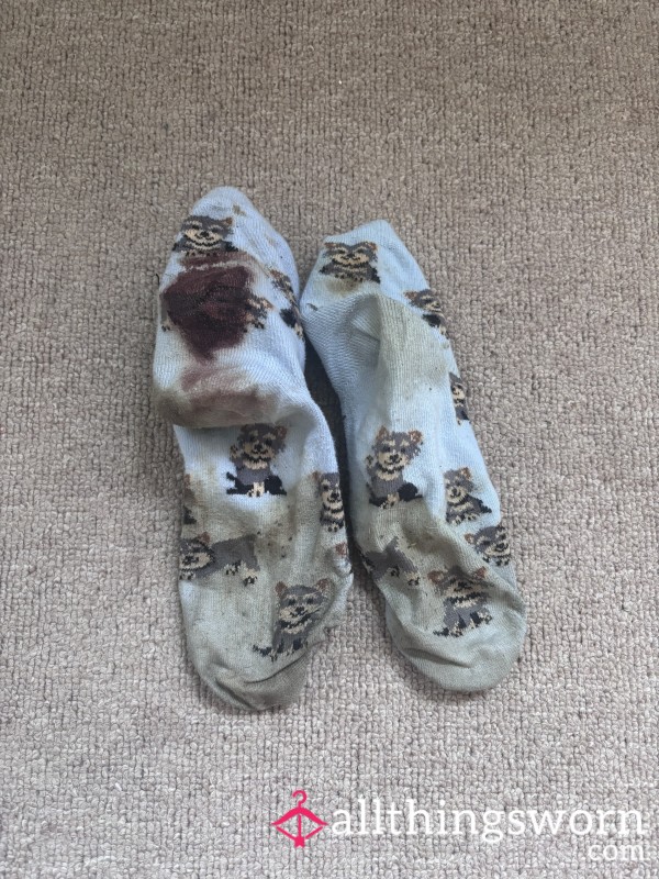 Absolutely Ruin Socks