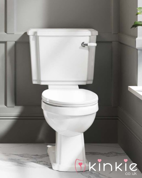 ACCESS TO MY TOILET CHOCOLATE BROWN DRIVE £10!
