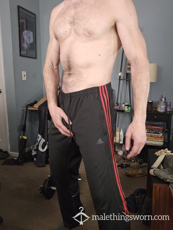 Adidas Workout Pants