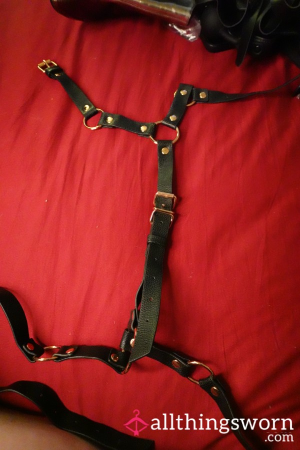 Adjustable Faux Leather Harness Used By Me