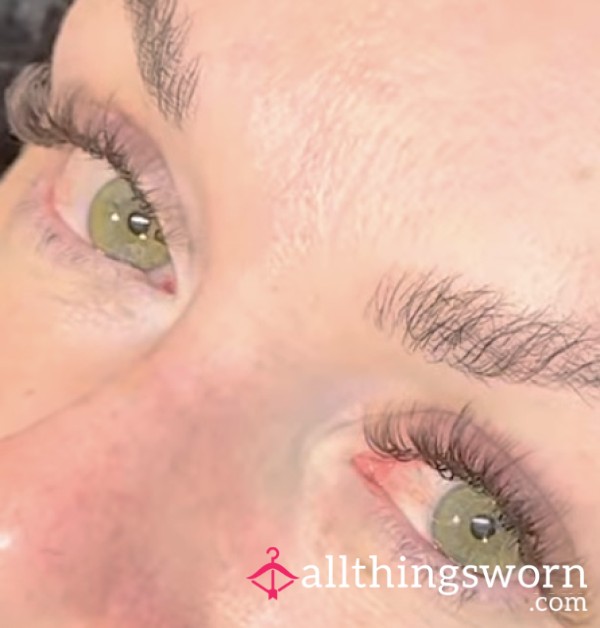 Adopt My Lash Bill