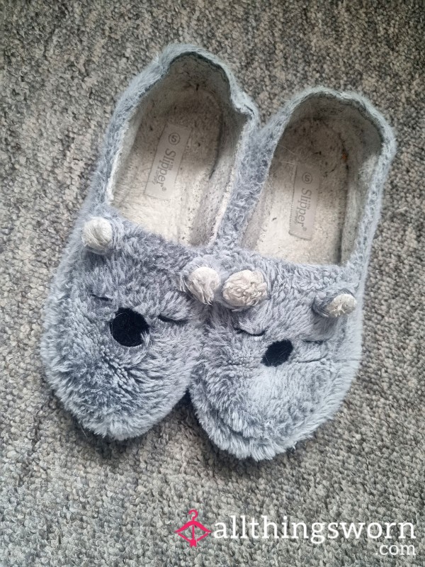 Adorable Well-worn Size 5 Slippers