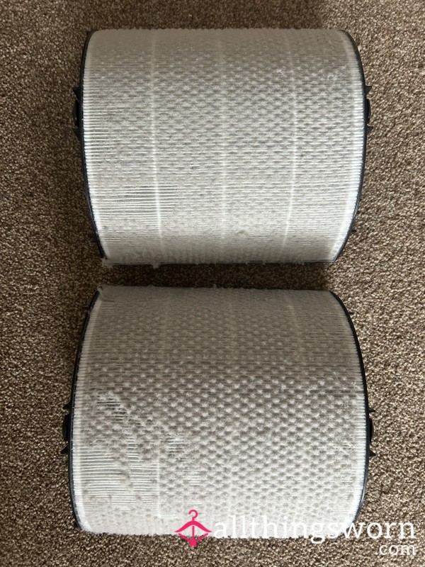Air Filter From My Dyson Bedroom Fan / Air Purifier