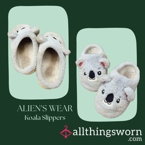 Alien's Wear: Koala Slippers 🐨