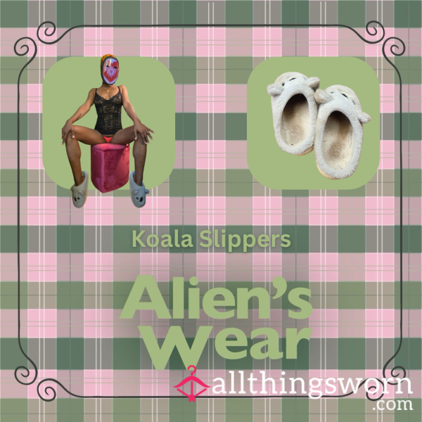 Alien's Wear: Koala Slippers 🐨