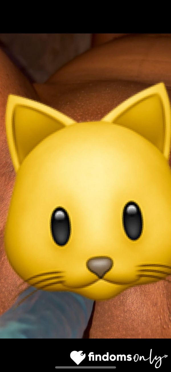 Alpha And Di**o Meet The Kitty 🐱 💦