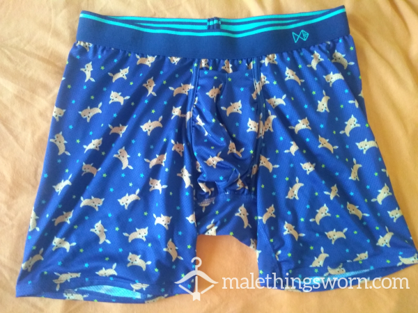 AlphaBox – Performance Boxer Brief – Foxes – M