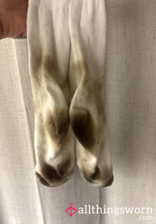 Alphas Hard Working Socks