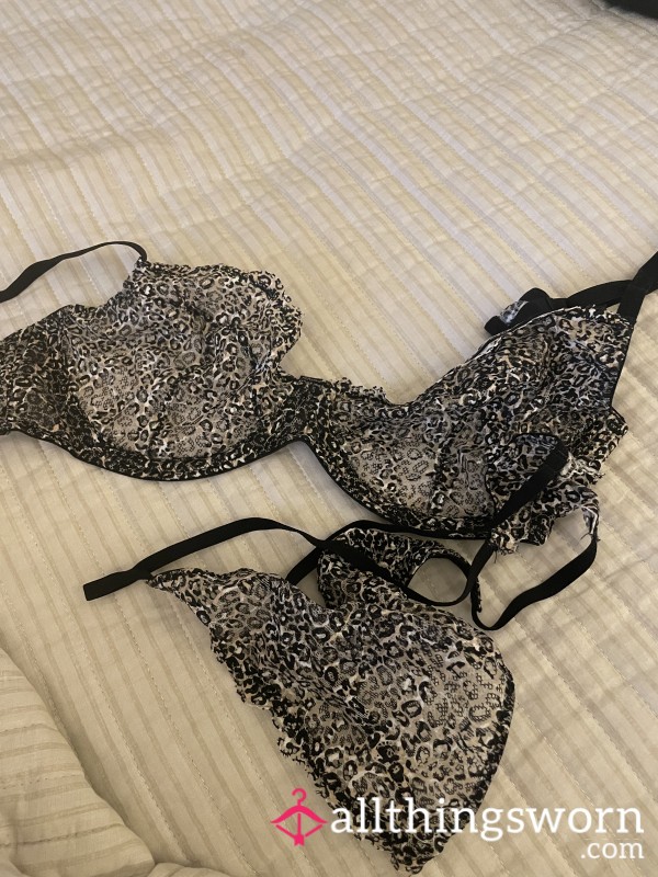 Animal By Print Bra Set
