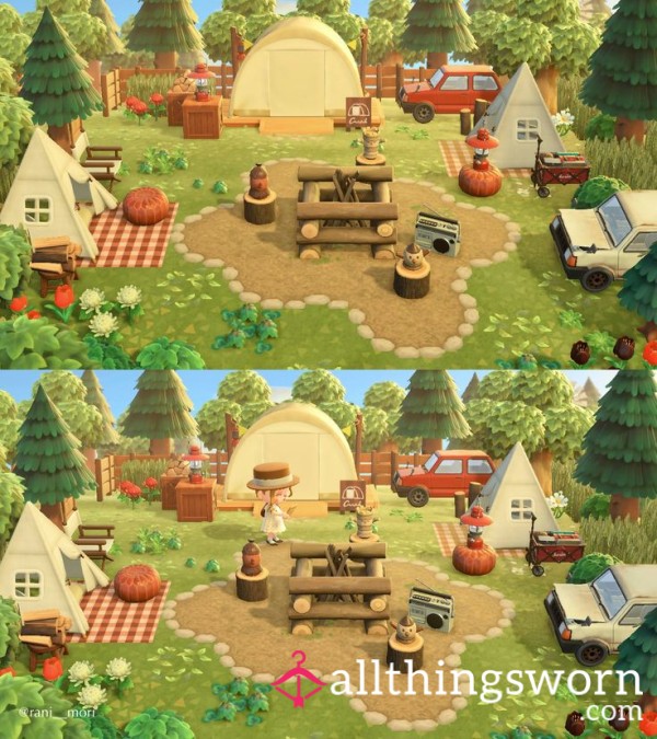 Animal Crossing Code