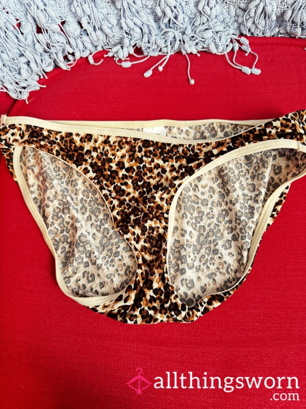 Animal Print Panties Used