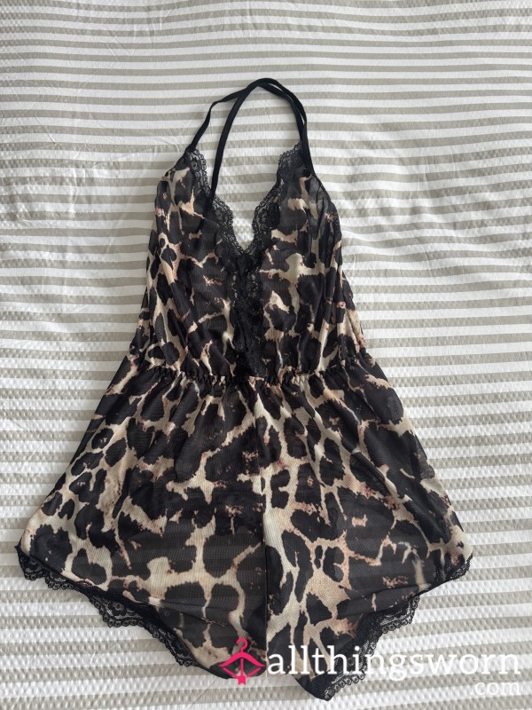 Animal Print Teddy