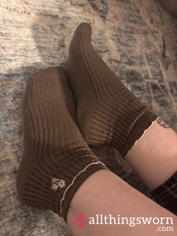 Ankle Length Brown Socks With Embroidery
