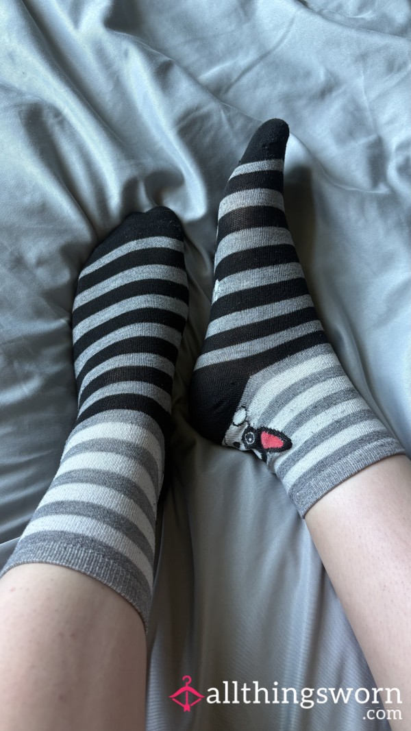 💼 ANKLE PUPPY- All-Day Office Wear - 9-5 Wear