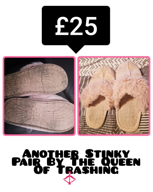 Another Pair Of Stinky Trashed Goddess Slippers