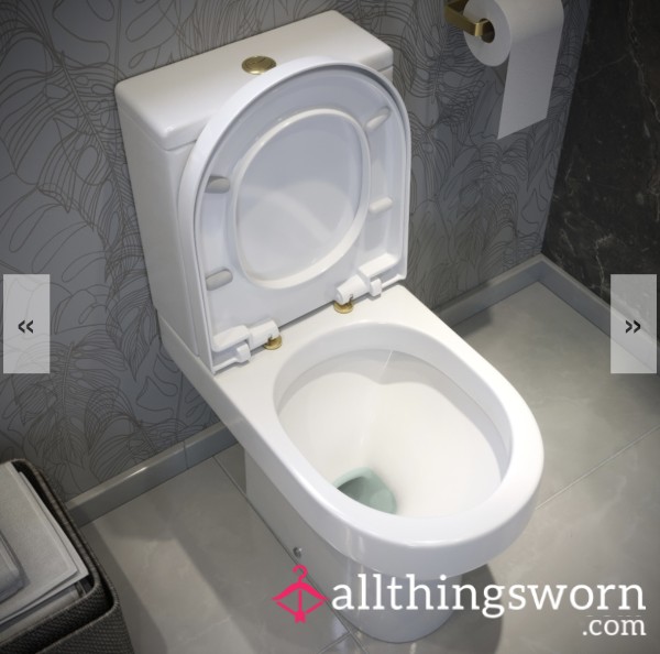 Anything Toilet…..
