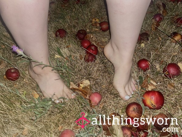 🍎Apple Walk🍎