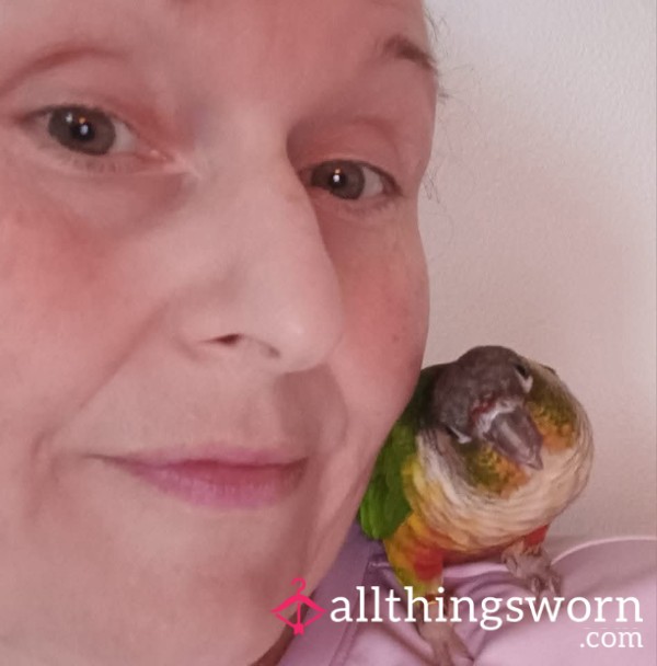 The Grandbird Knows A LOT! ASK HIM ANYTHING!