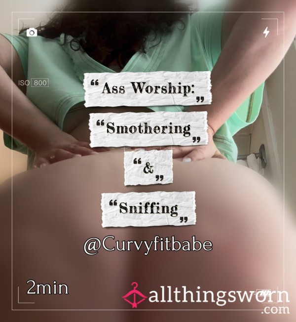A** Worship : Smothering & Sniffing