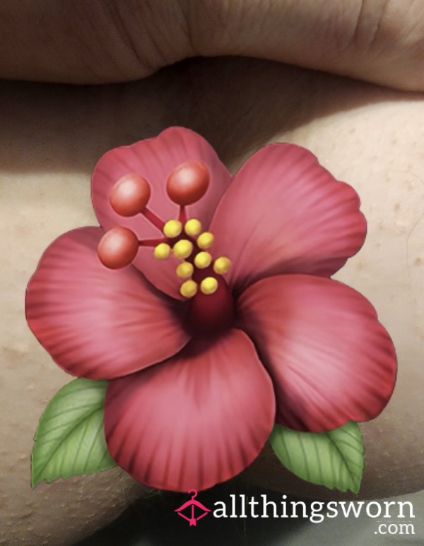 A**hole Close Up Spread